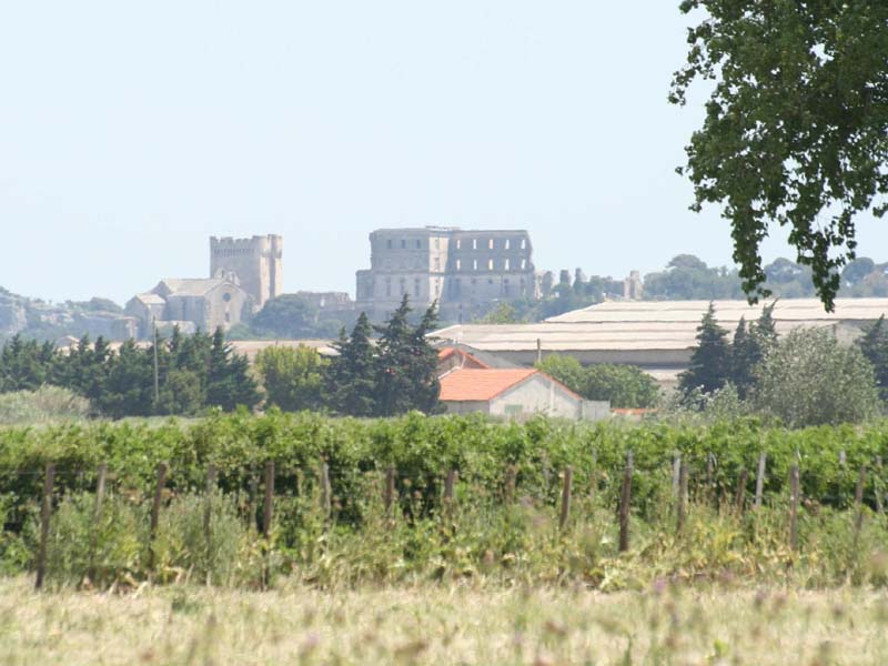 Mas des Beaumettes - Manade Mogador_13200 ARLES_15